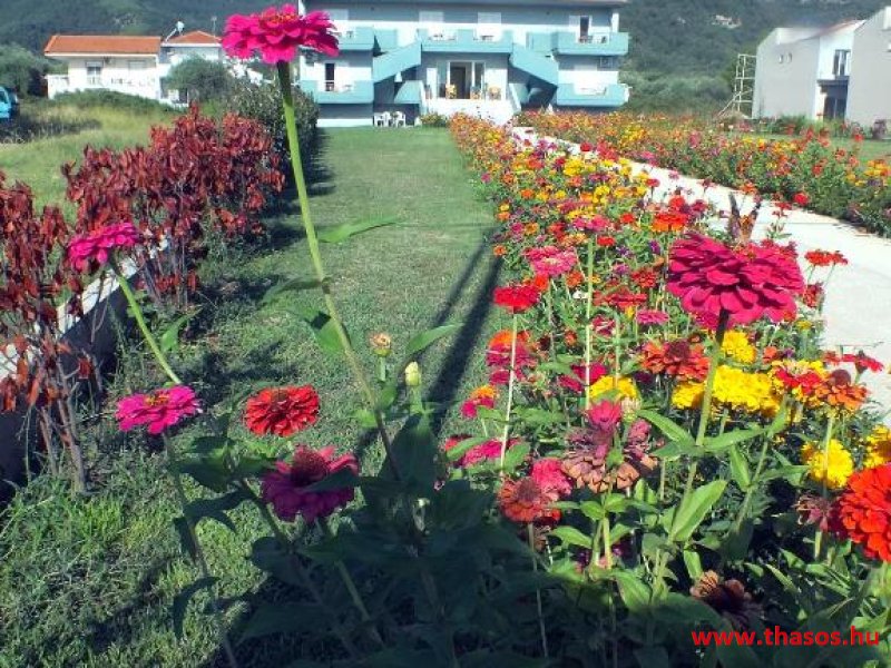 Dias - Zeus Apartman és Stúdió *****