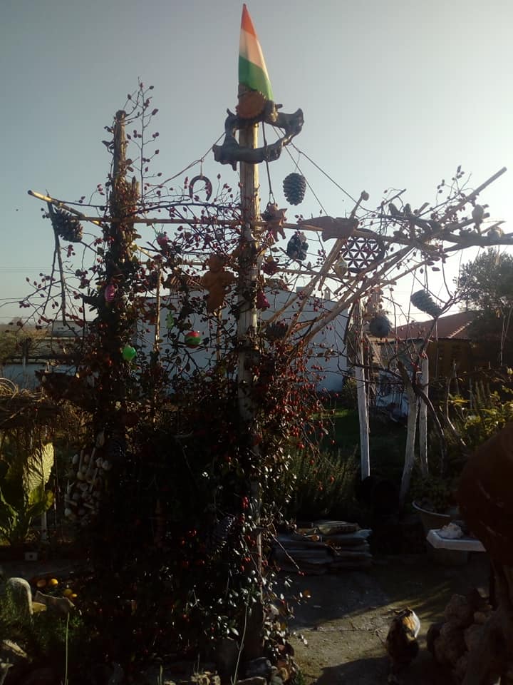 07
