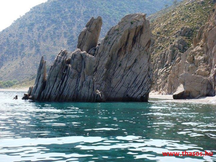 230081_10150189317507798_6098184_n