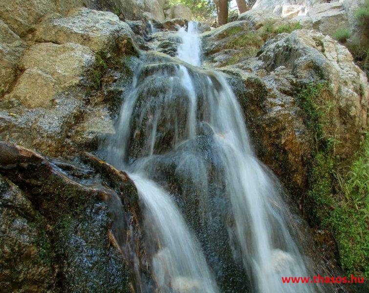 576121_10150952012612798_148102884_n