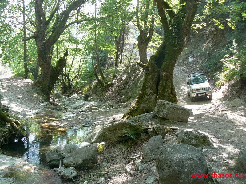 Az öreg falu, a vén platán és a folyók meséje
