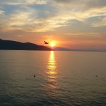 Az öreg falu, a vén platán és a folyók meséje
