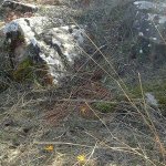 tavaszi_kirand_068