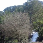 tavaszi_kirand_071