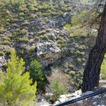 tavaszi_kirand_083