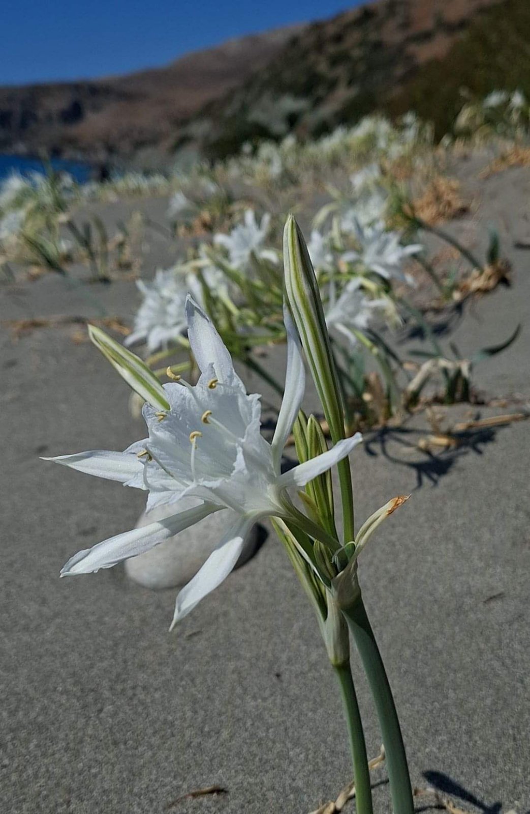 natura2000 18