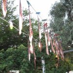 img_0490