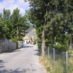Theologo