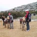 Farsang 2006